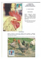 Ordem dos Galliformes pg. 9