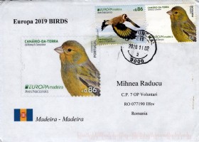 Portugal Madeira 2019 (1).jpg