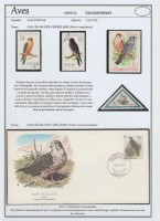 Falconiformes 3