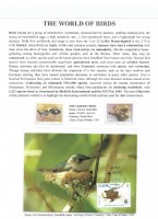Debatanu Biswas - The World of Birds - Page 1