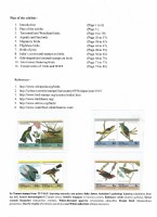 Debatanu Biswas - The World of Birds - Page 3