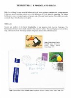 Debatanu Biswas - The World of Birds - Page 4