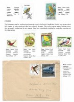 Debatanu Biswas - The World of Birds - Page 7