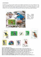 Debatanu Biswas - The World of Birds - Page 10