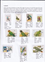 Debatanu Biswas - The World of Birds - Page 11