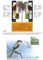 Debatanu Biswas - The World of Birds - Page 12