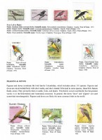 Debatanu Biswas - The World of Birds - Page 13