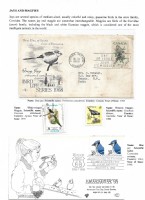 Debatanu Biswas - The World of Birds - Page 16