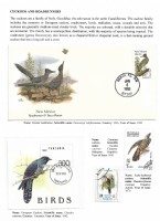 Debatanu Biswas - The World of Birds - Page 17