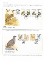 Debatanu Biswas - The World of Birds - Page 19