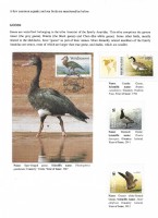 Debatanu Biswas - The World of Birds - Page 23