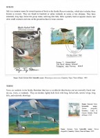 Debatanu Biswas - The World of Birds - Page 27