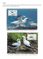 Debatanu Biswas - The World of Birds - Page 29
