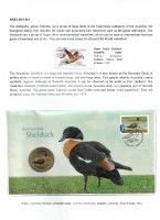 Debatanu Biswas - The World of Birds - Page 30