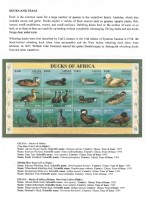Debatanu Biswas - The World of Birds - Page 31