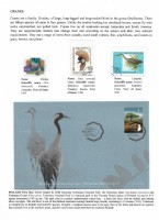 Debatanu Biswas - The World of Birds - Page 33