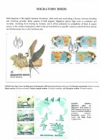 Debatanu Biswas - The World of Birds - Page 38