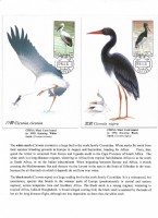 Debatanu Biswas - The World of Birds - Page 39