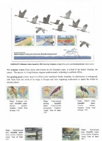 Debatanu Biswas - The World of Birds - Page 40