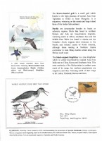 Debatanu Biswas - The World of Birds - Page 42