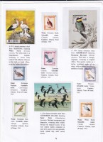 Debatanu Biswas - The World of Birds - Page 43