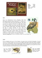 Debatanu Biswas - The World of Birds - Page 45