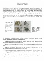 Debatanu Biswas - The World of Birds - Page 48