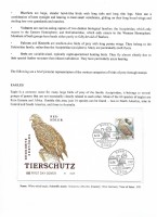 Debatanu Biswas - The World of Birds - Page 49