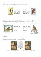 Debatanu Biswas - The World of Birds - Page 52