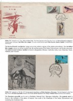 Debatanu Biswas - The World of Birds - Page 58