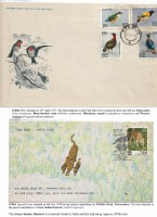 Debatanu Biswas - The World of Birds - Page 59