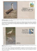 Debatanu Biswas - The World of Birds - Page 60