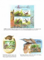 Debatanu Biswas - The World of Birds - Page 69
