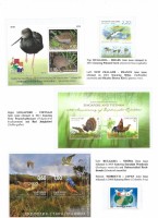 Debatanu Biswas - The World of Birds - Page 73