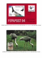 Debatanu Biswas - The World of Birds - Page 75
