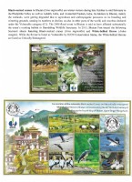 Debatanu Biswas - The World of Birds - Page 76