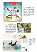 Debatanu Biswas - The World of Birds - Page 79