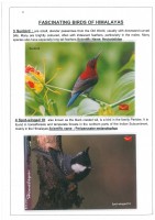 Fascinating Birds of Himalayas page 3
