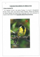 Fascinating Birds of Himalayas page 5