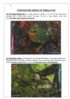 Fascinating Birds of Himalayas page 15