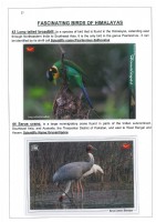 Fascinating Birds of Himalayas page 27