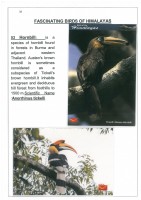 Fascinating Birds of Himalayas page 32