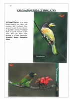 Fascinating Birds of Himalayas page 33