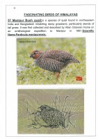 Fascinating Birds of Himalayas page 35