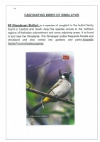 Fascinating Birds of Himalayas page 44