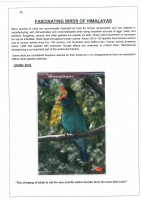 Fascinating Birds of Himalayas page 48