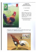 Ordem dos Galliformes pg. 2